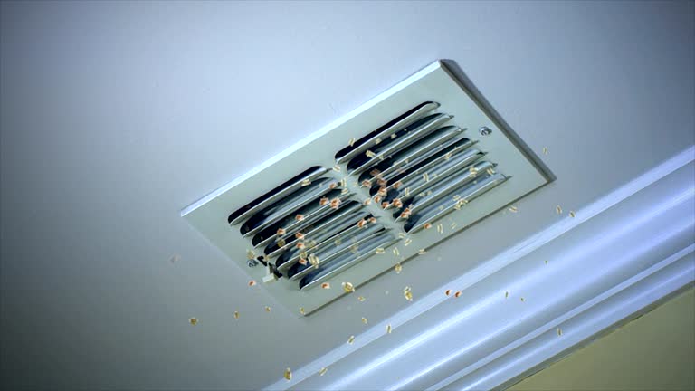 Best Air Duct Cleaning Near Me  in Gosport, IN